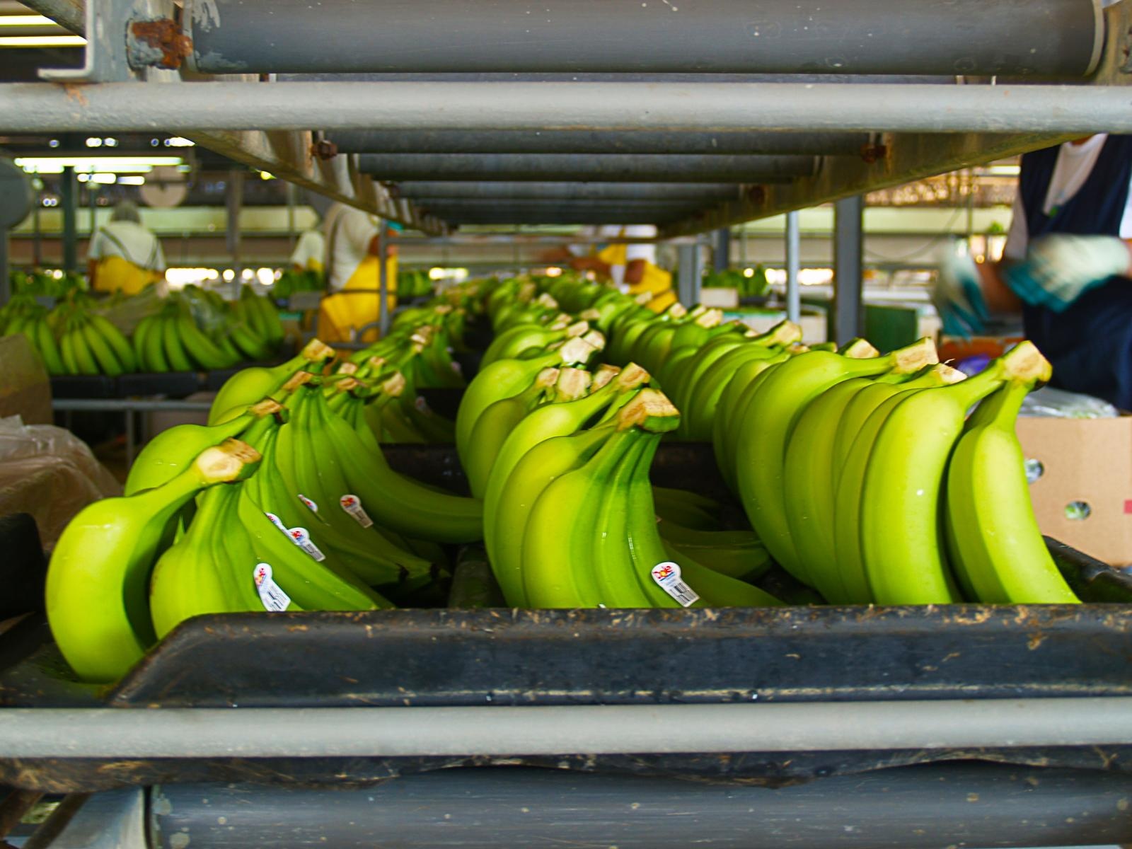 VietnamPrintPackFoodtech ảnh 1 VietnamPrintPackFoodtech anh 1