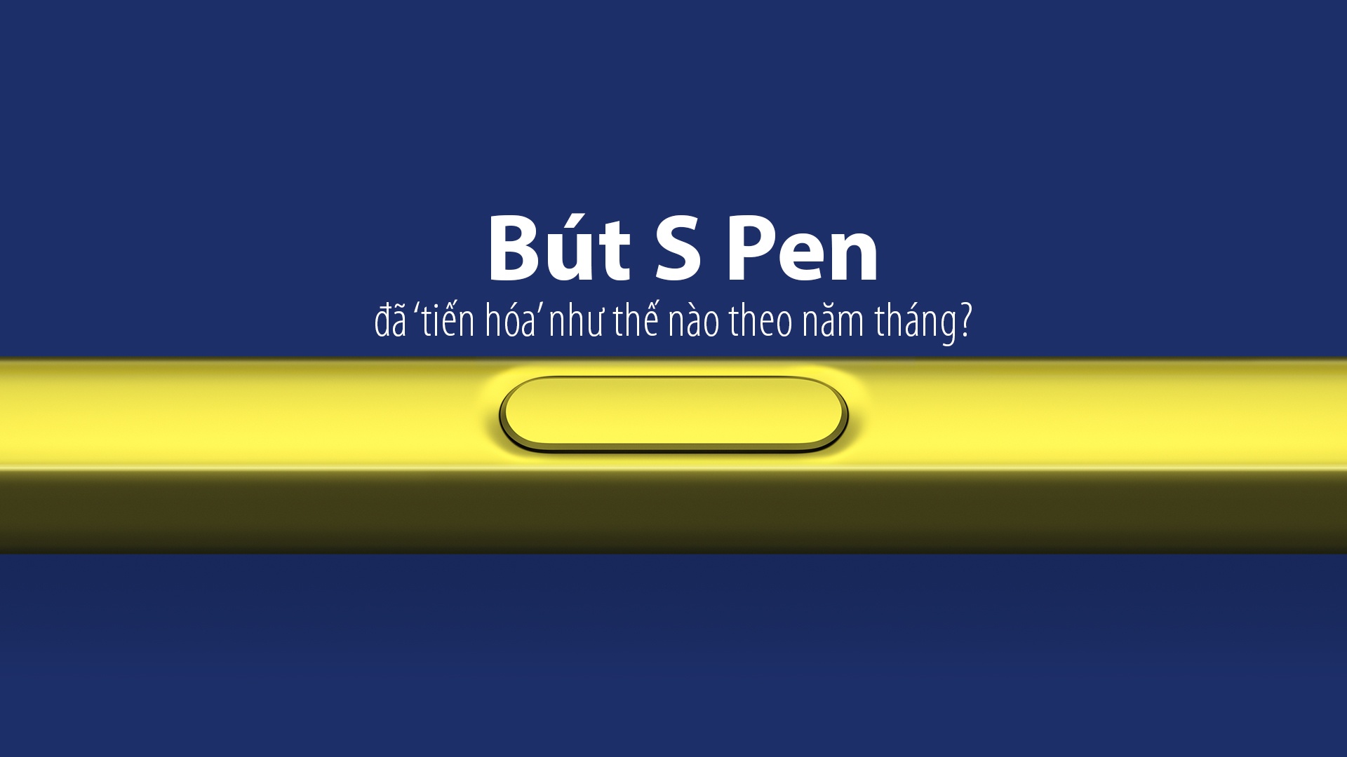 But S Pen da 'tien hoa' nhu the nao theo nam thang? hinh anh