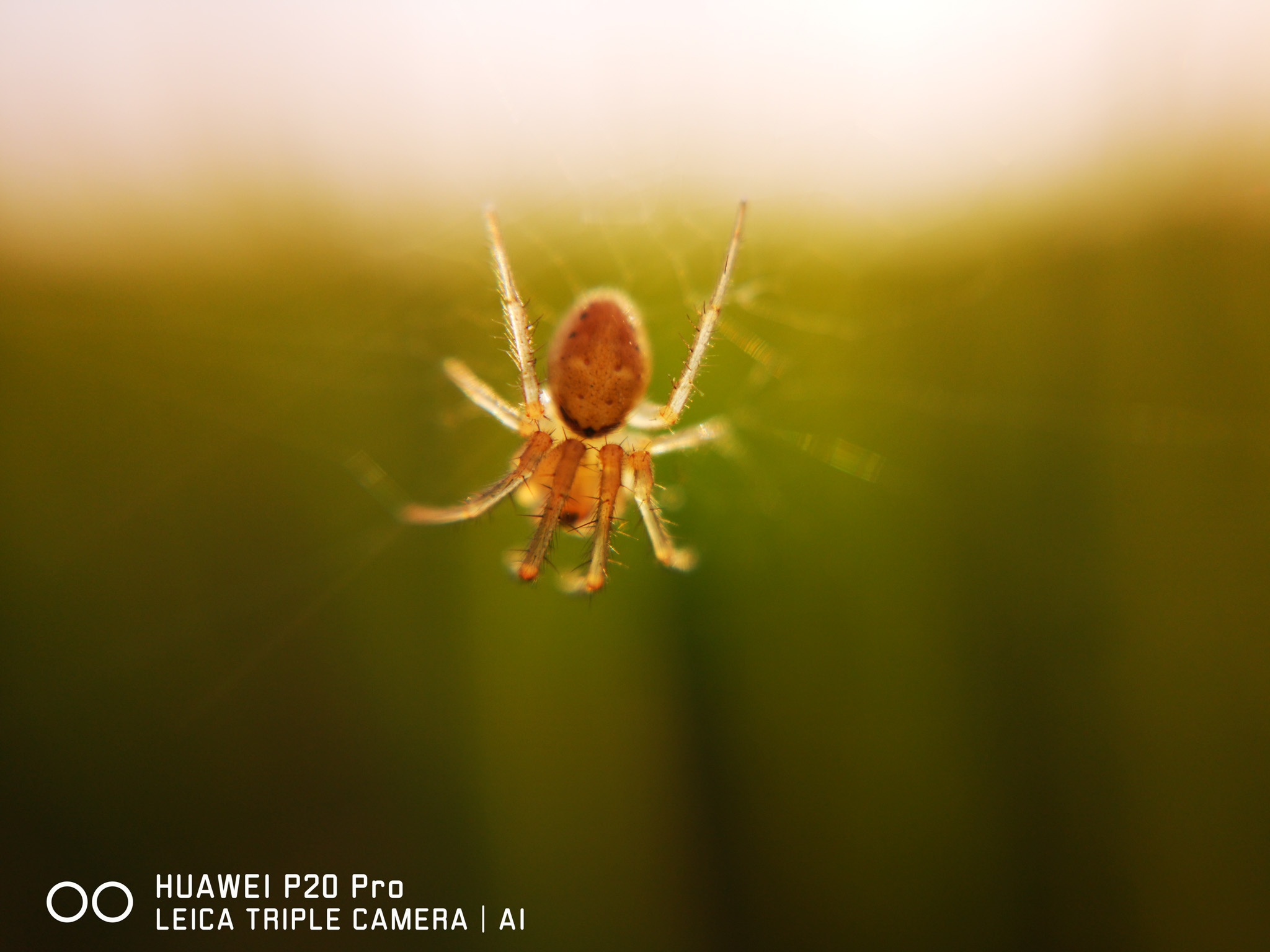 Huawei P20 Pro anh 5