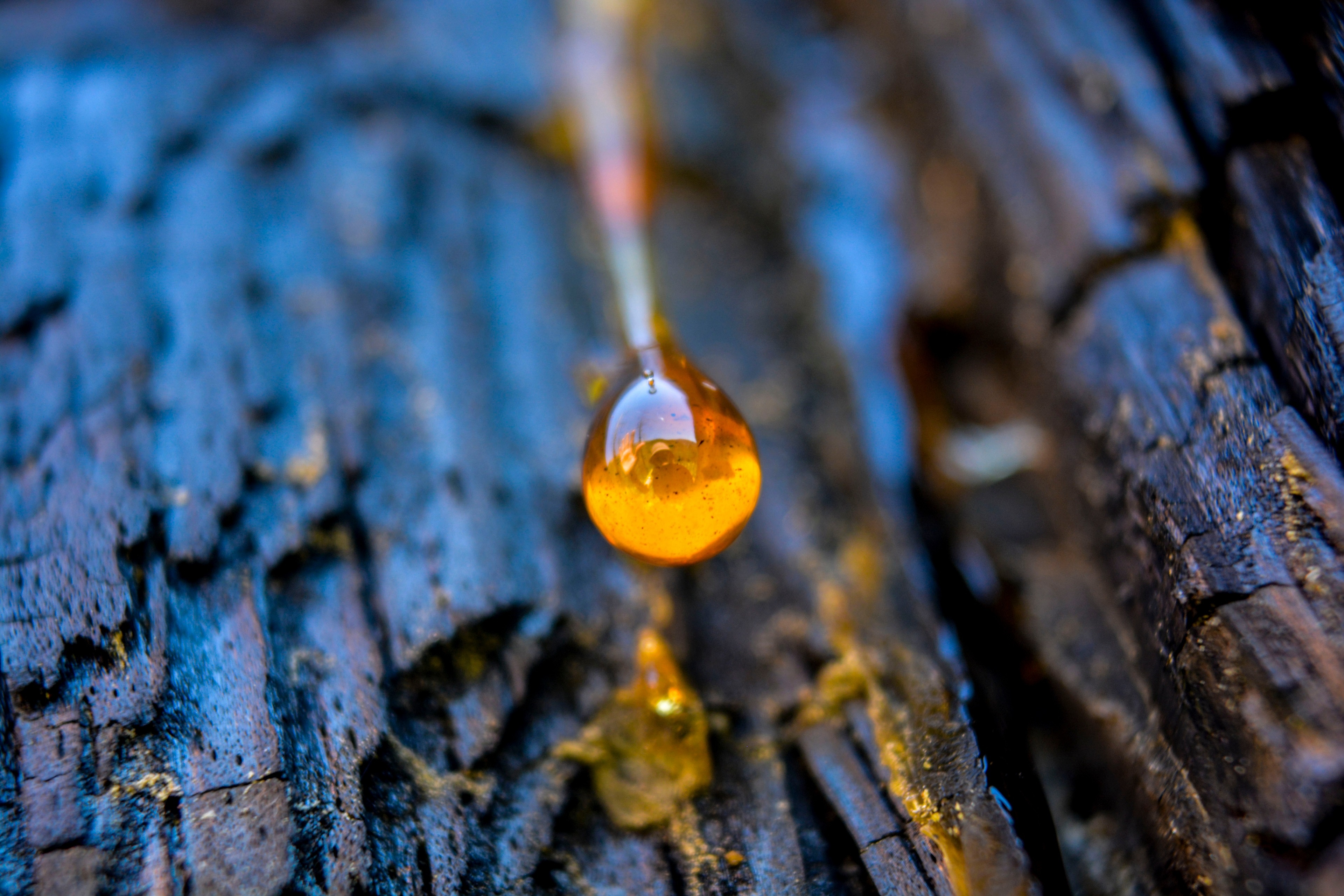 Pond’s Acne Clear ảnh 9 Pond’s Acne Clear anh 9