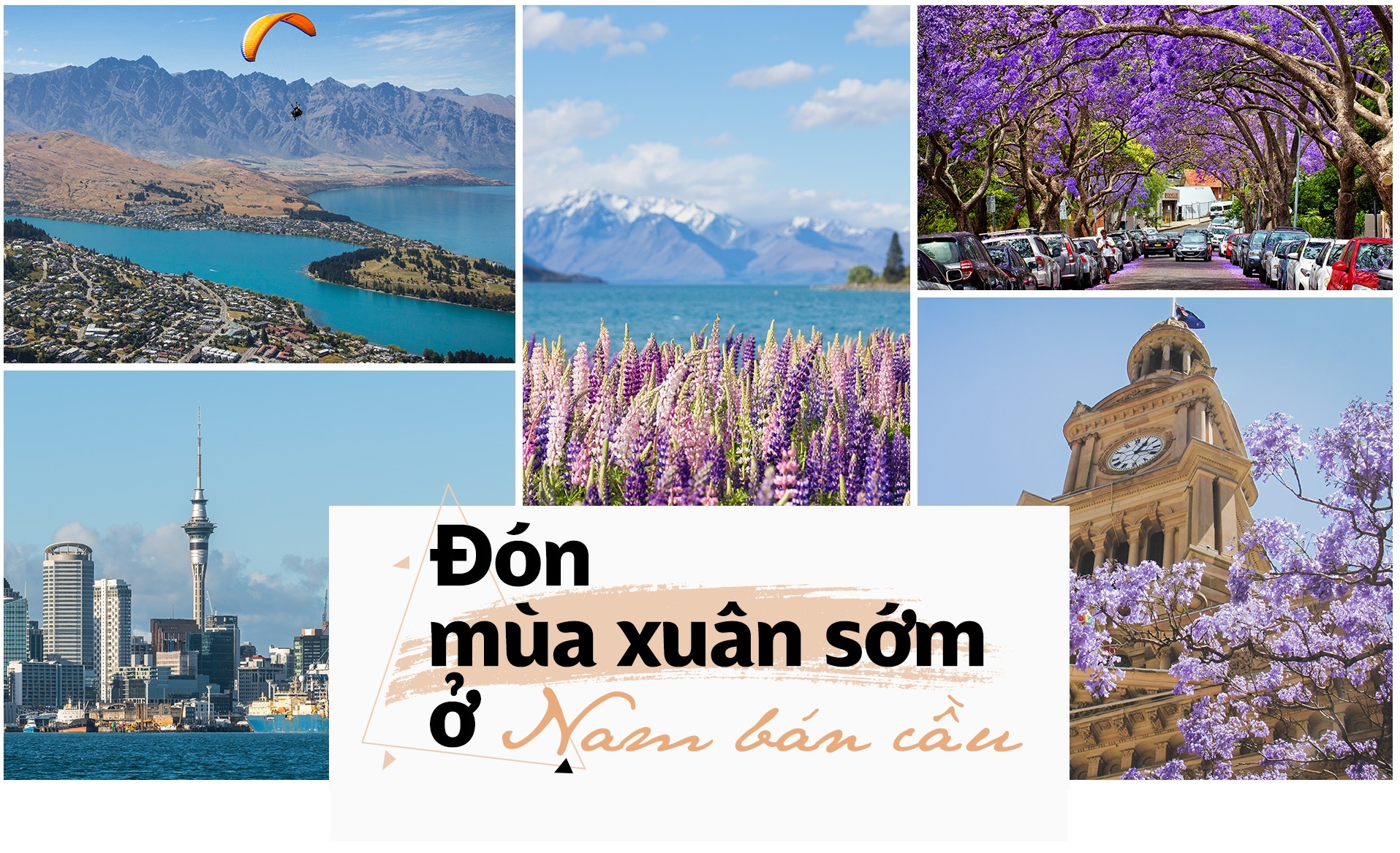 Vietravel ảnh 2 Vietravel anh 2