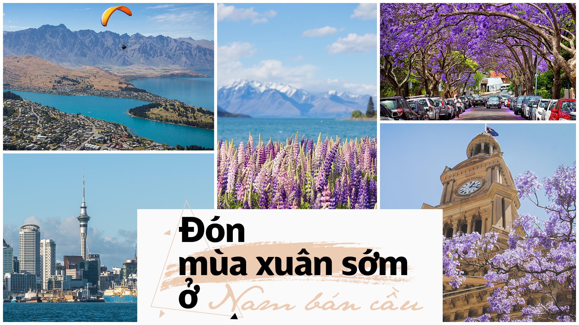 Don mua xuan som o Nam ban cau hinh anh