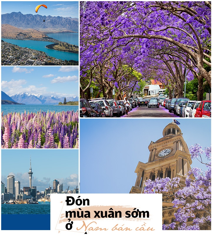 Vietravel ảnh 1 Vietravel anh 1