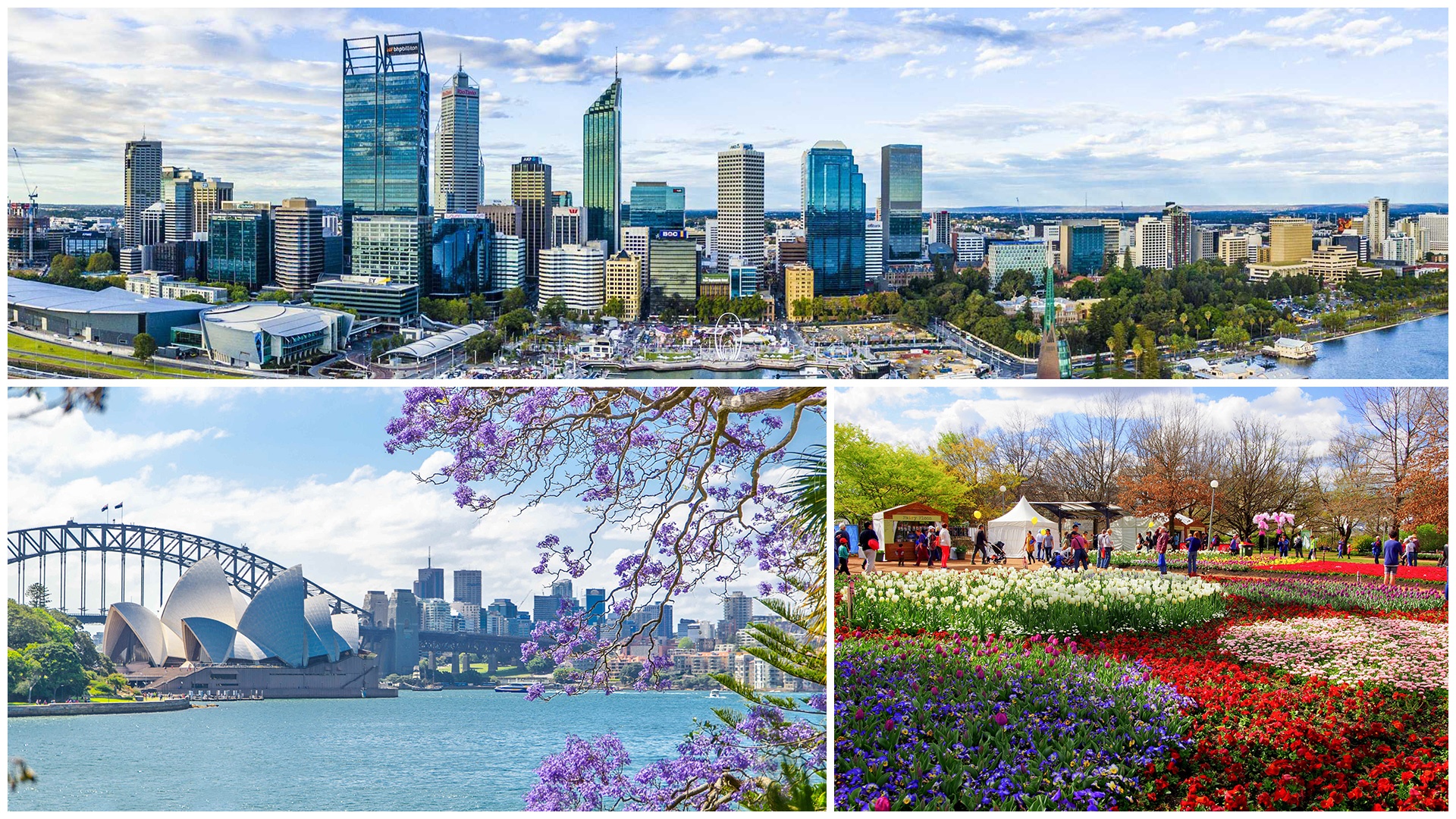 Vietravel ảnh 5 Vietravel anh 5