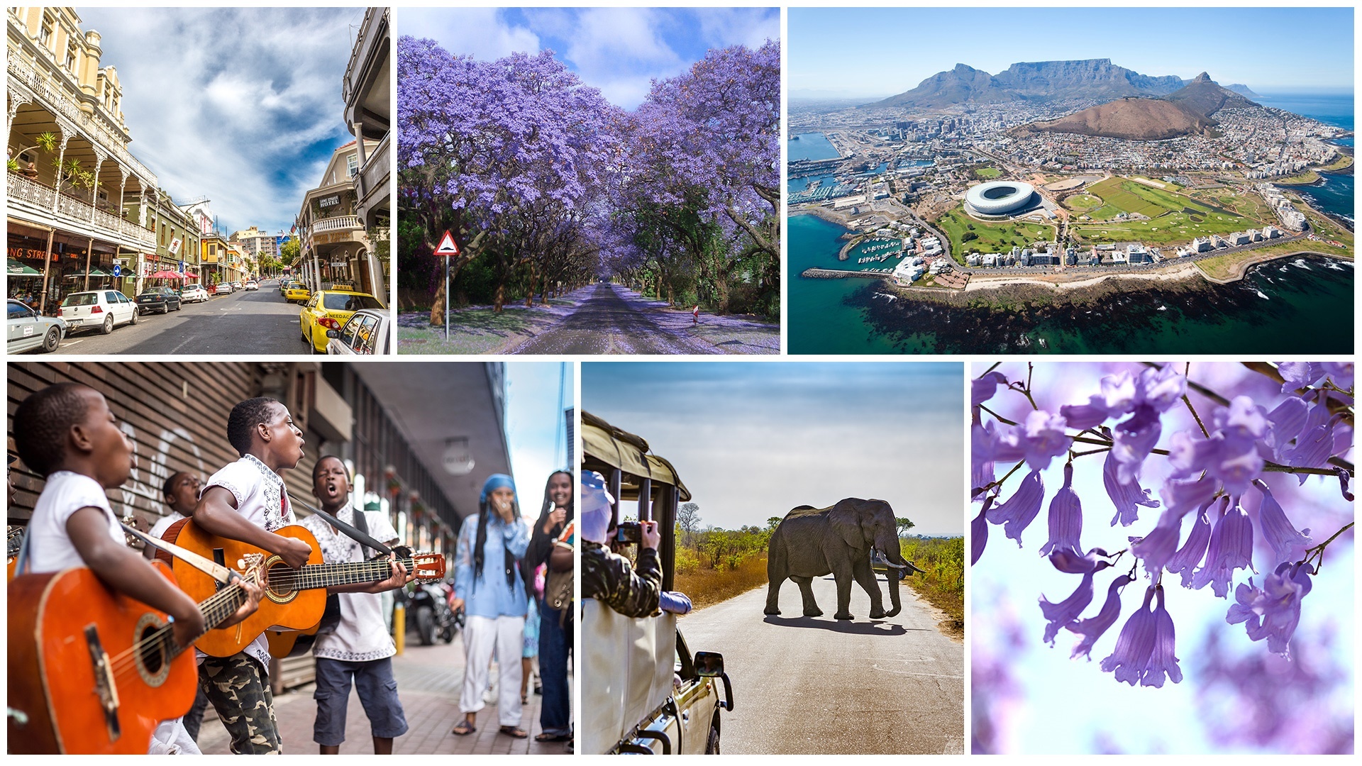 Vietravel ảnh 12 Vietravel anh 12