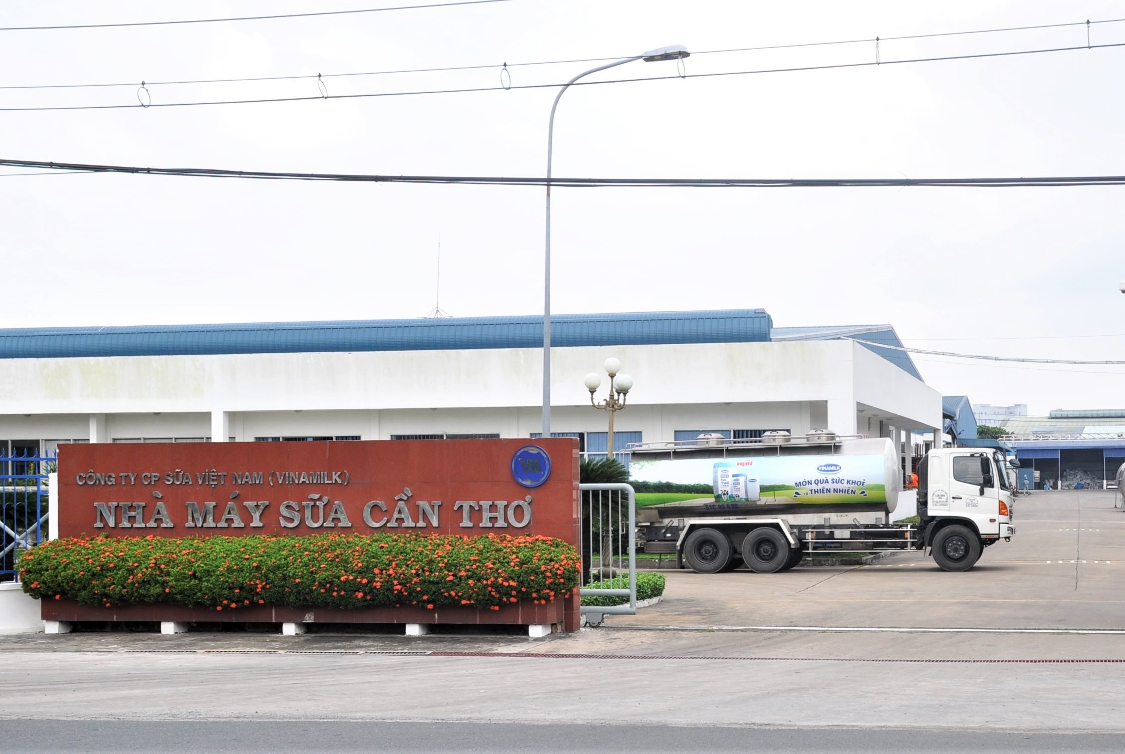 Vinamilk ảnh 1 Vinamilk anh 1