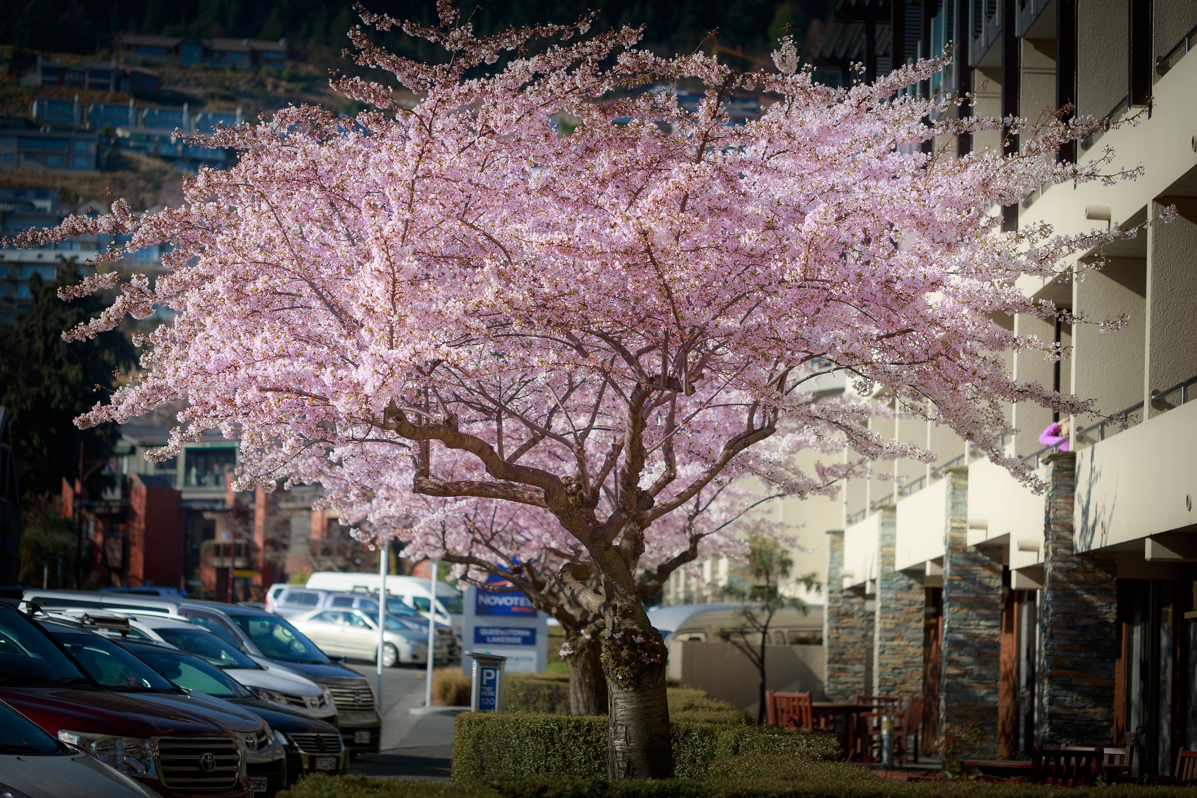 Vietravel ảnh 9 Vietravel anh 9