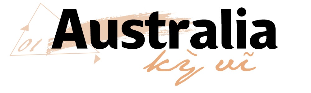 Vietravel ảnh 3 Vietravel anh 3