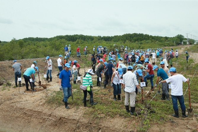Phu xanh 1.000 m2 rung phong ho Can Gio hinh anh