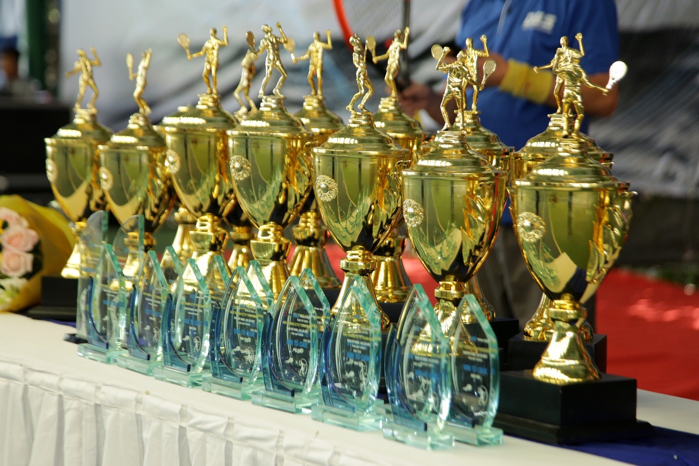 DSS ảnh 5 DSS anh 5