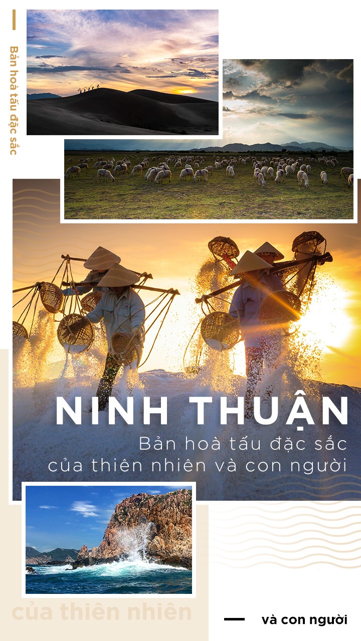 du lich Ninh Thuan anh 1
