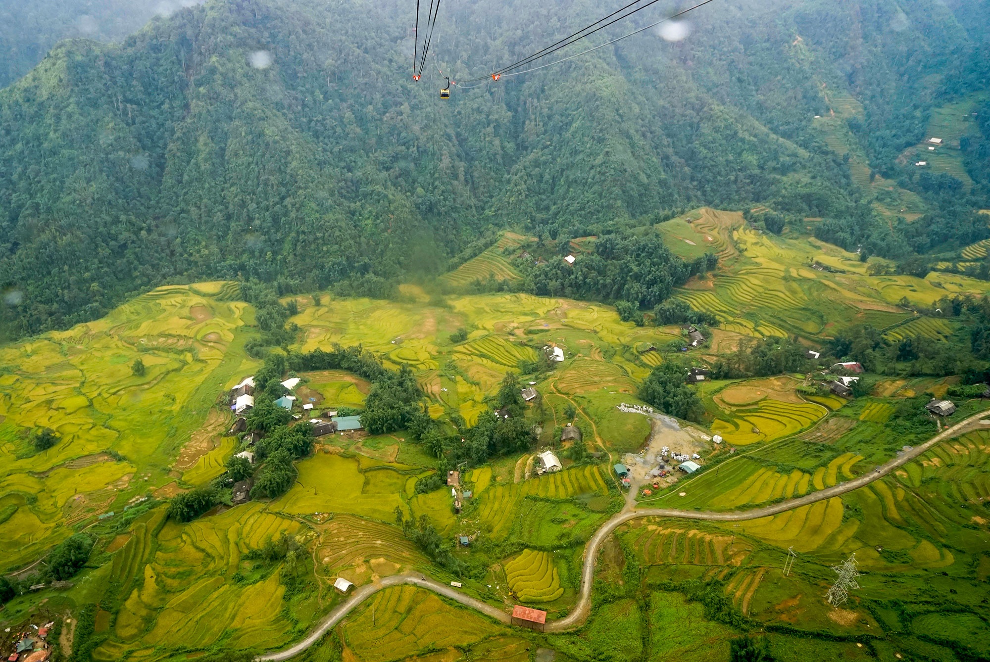 Ngam thung lung Muong Hoa dep me hoac mua lua xanh hinh anh