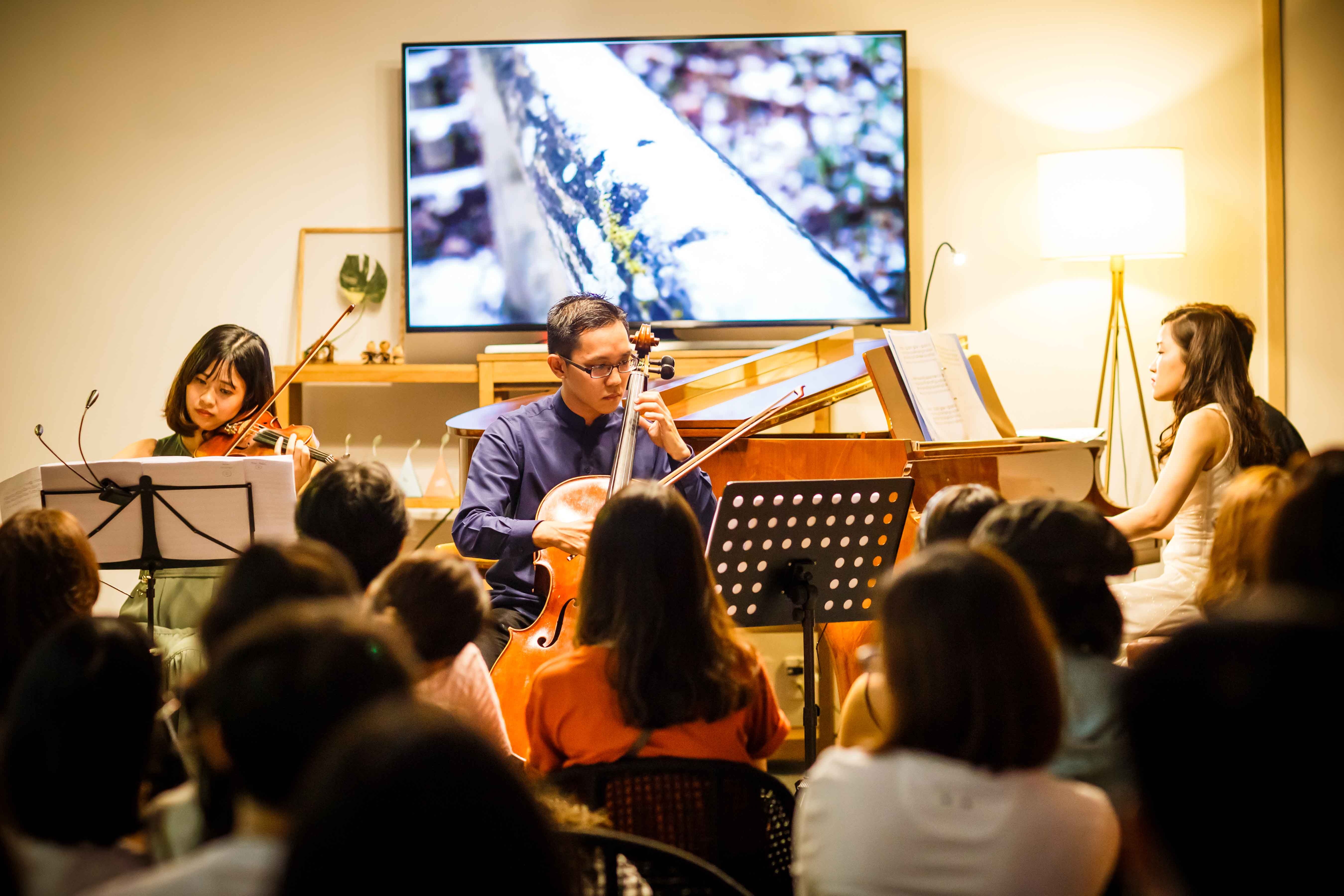 Morico ảnh 4 Morico anh 4