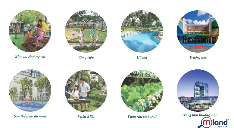 MLand Viet Nam anh 3