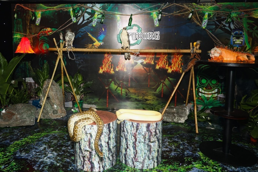 Tuborg Republic of Fun anh 3