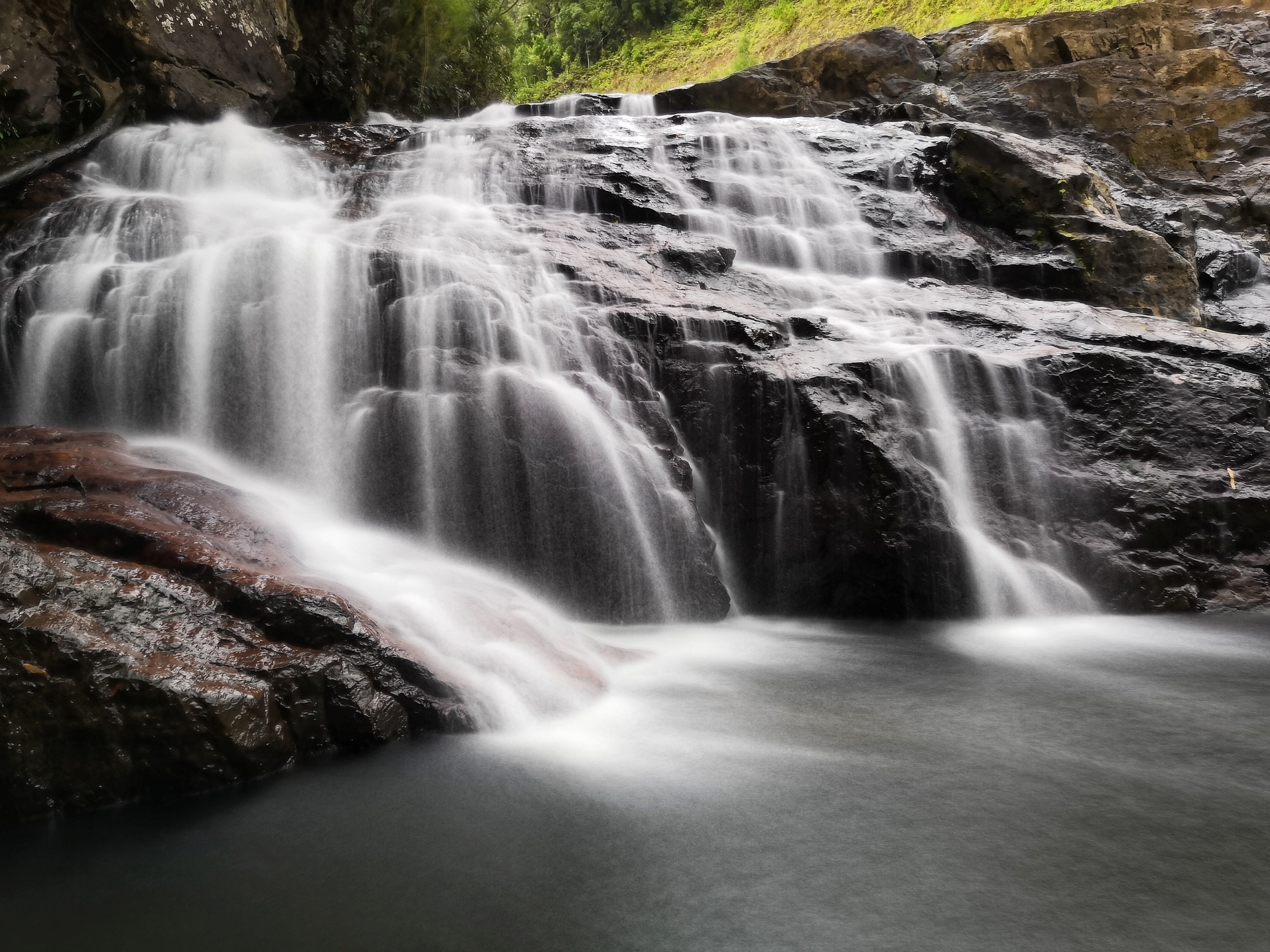 Mot ngay dao choi Da Lat - xu so ngan hoa hinh anh