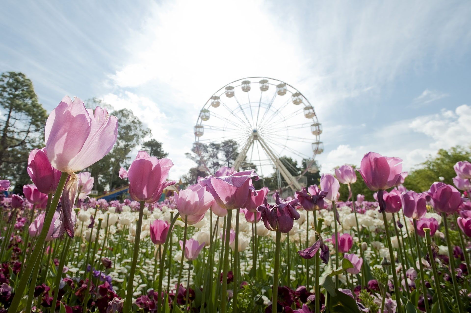 Bluesky Travel ảnh 1 Bluesky Travel anh 1