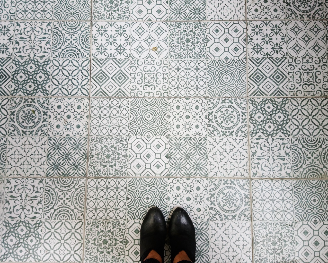 Pom Phù Phiếm ảnh 1 Pom Phu Phiem anh 1