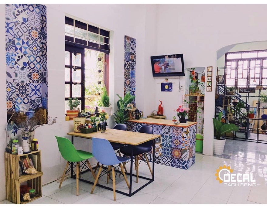 Pom Phù Phiếm ảnh 3 Pom Phu Phiem anh 3