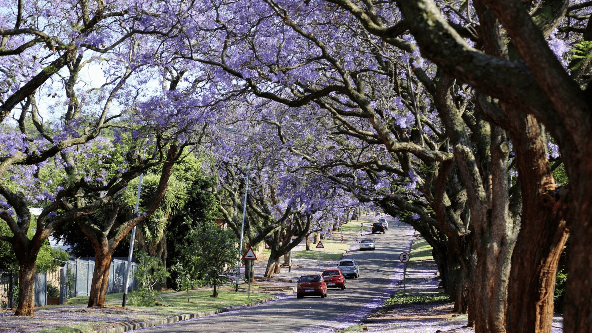 Bluesky Travel ảnh 4 Bluesky Travel anh 4