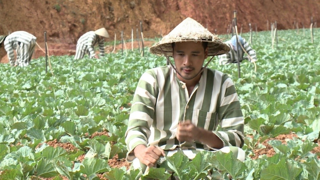 Doan Thanh Tai vao vai tu nhan trong 'Trang trai hoa hong' hinh anh