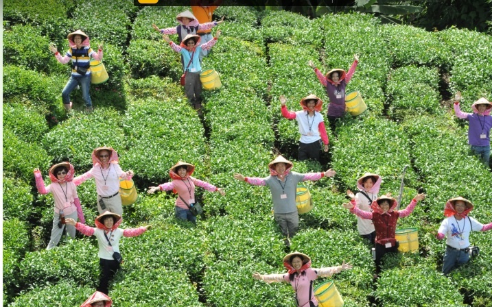 Phát triển nông nghiệp du lịch Đài Loan - Việt Nam ảnh 5 Phat trien nong nghiep du lich Dai Loan - Viet Nam anh 5