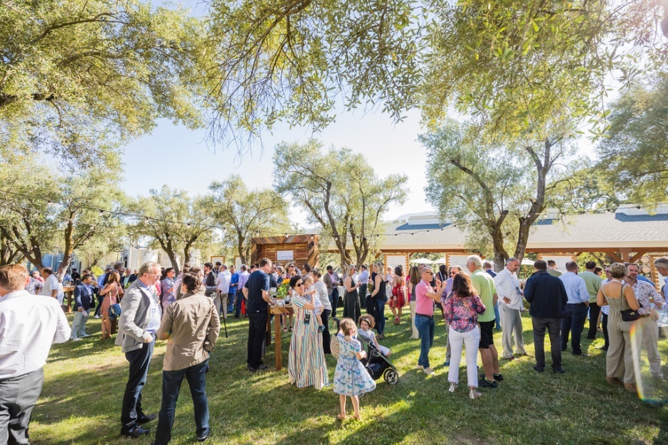 MMA ảnh 2 MMA anh 2