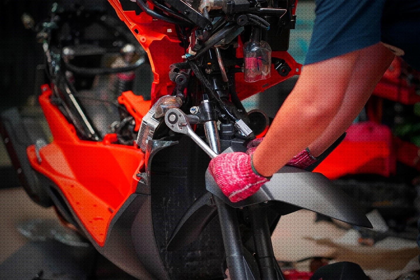Motul ảnh 3 Motul anh 3