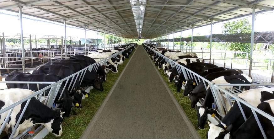 Farmilk ảnh 2 Farmilk anh 2
