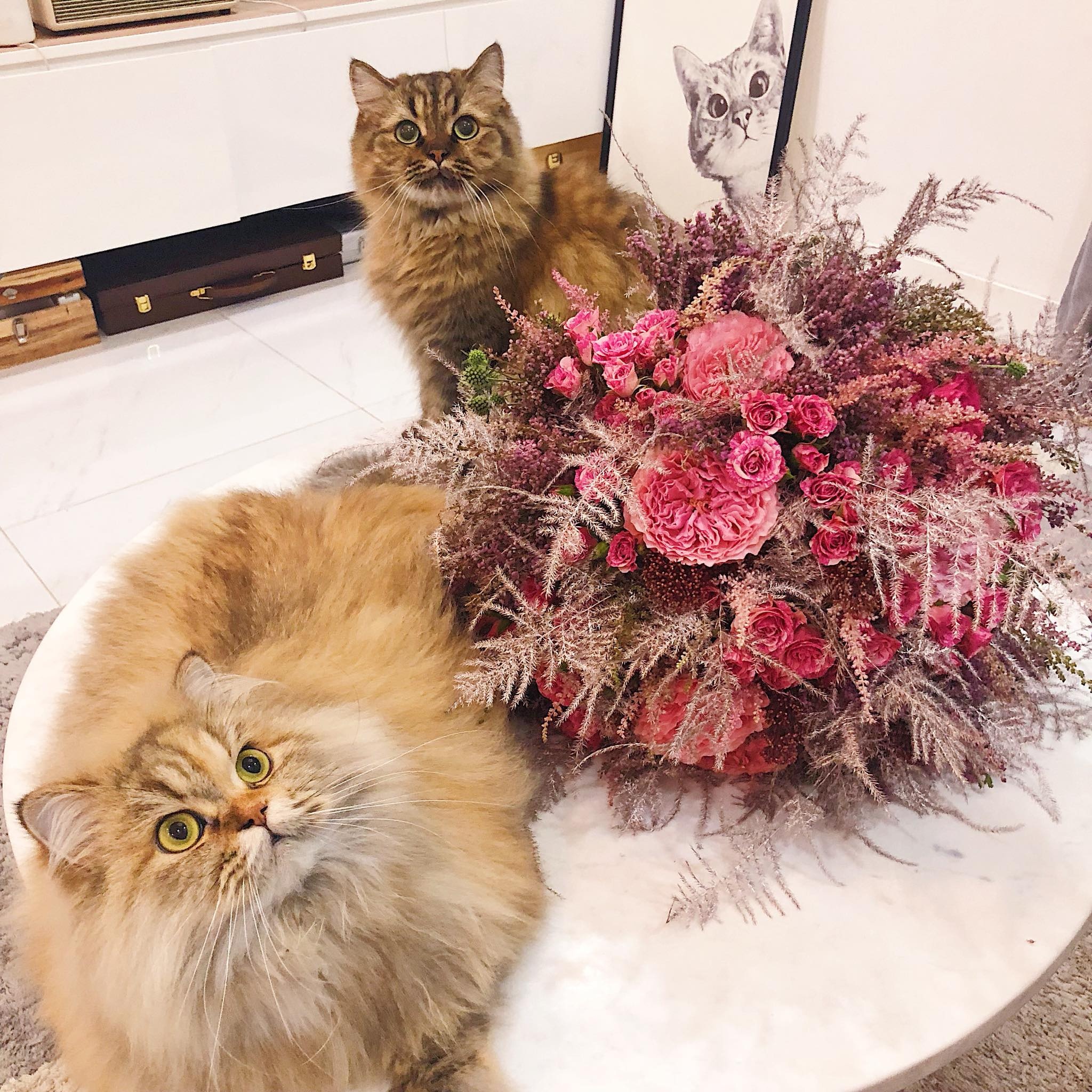 Hoa online 247 ảnh 1 Hoa online 247 anh 1