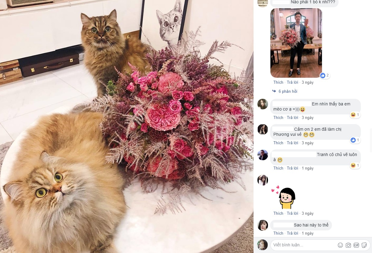 Hoa online 247 ảnh 3 Hoa online 247 anh 3