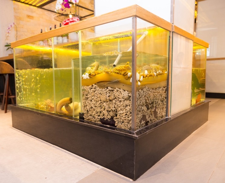 Iki Sushi Premium ảnh 4 Iki Sushi Premium anh 4