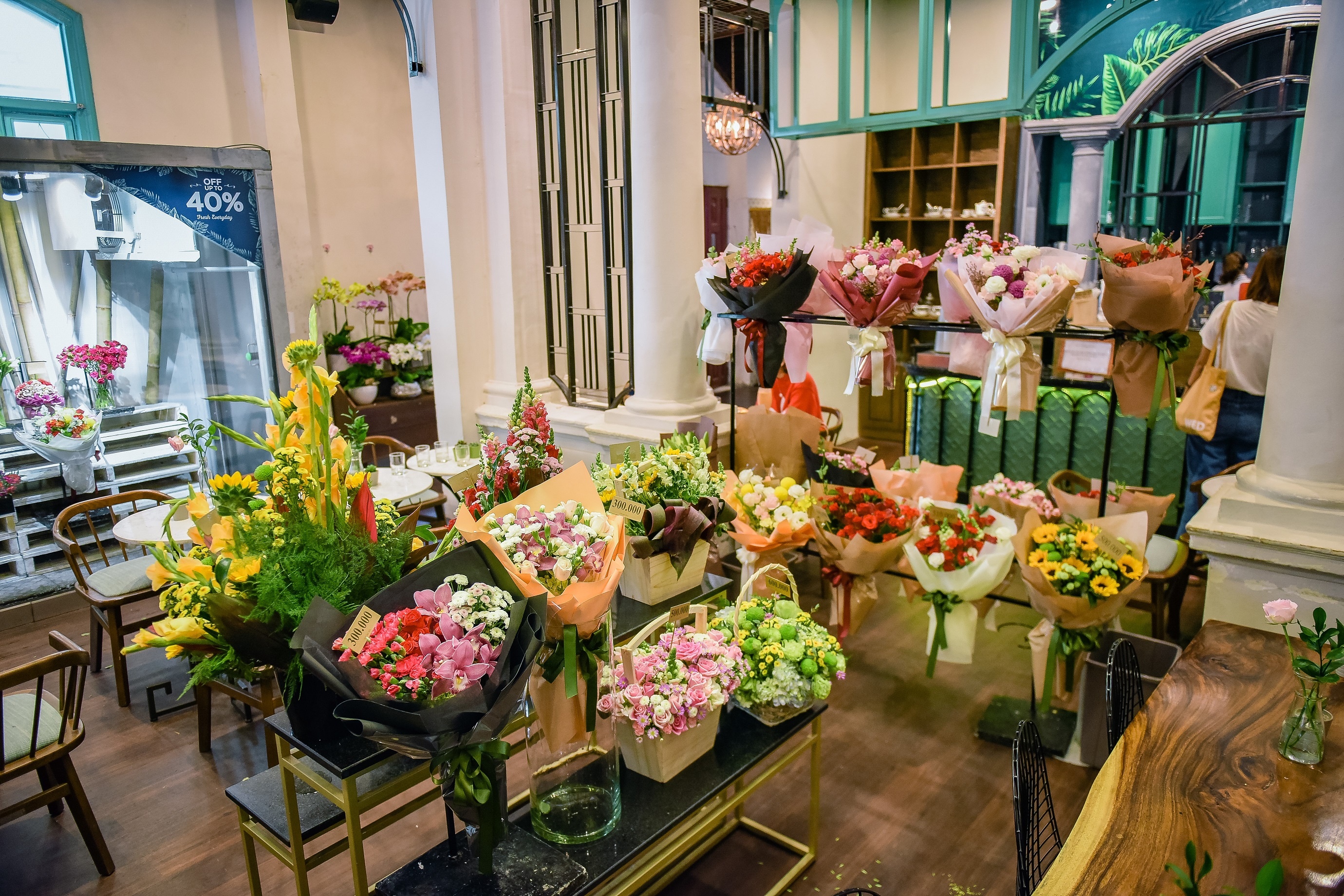 shark khoa ảnh 3 shark khoa anh 3