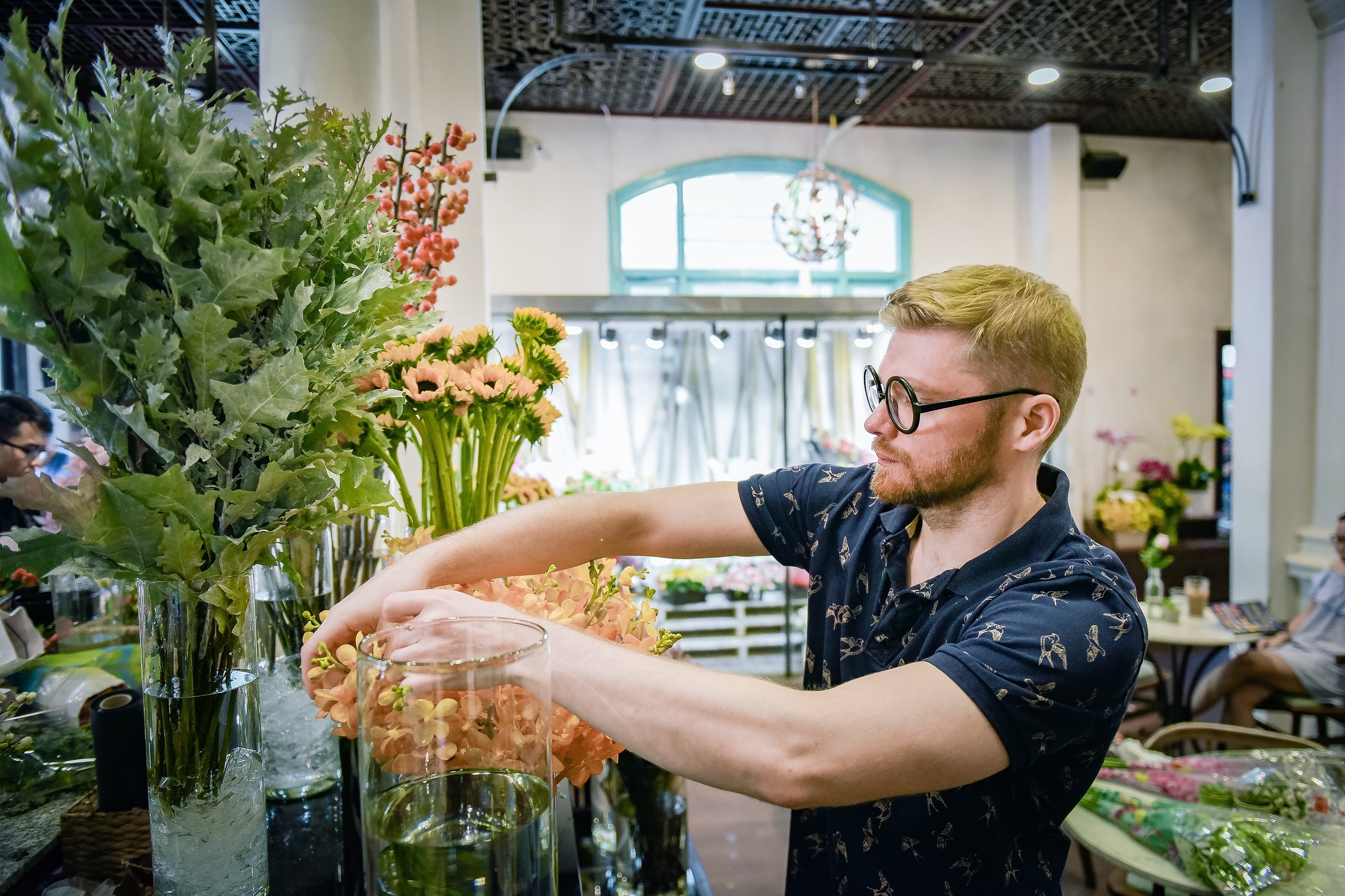 shark khoa ảnh 4 shark khoa anh 4