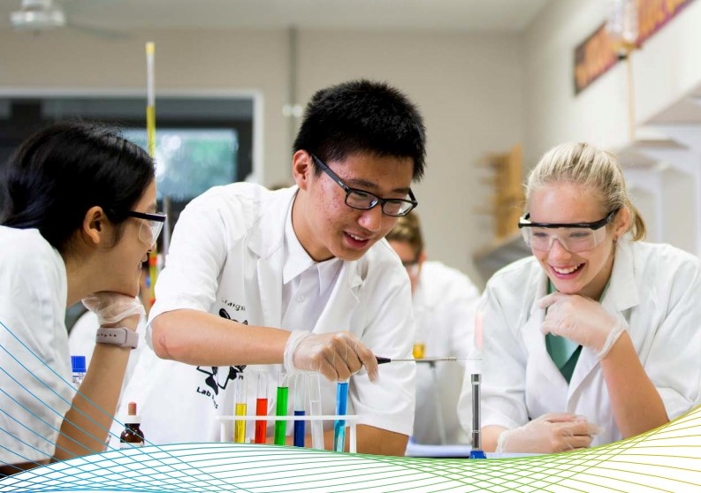 Công ty tư vấn du học Đức Anh  ảnh 2 Cong ty tu van du hoc Duc Anh anh 2