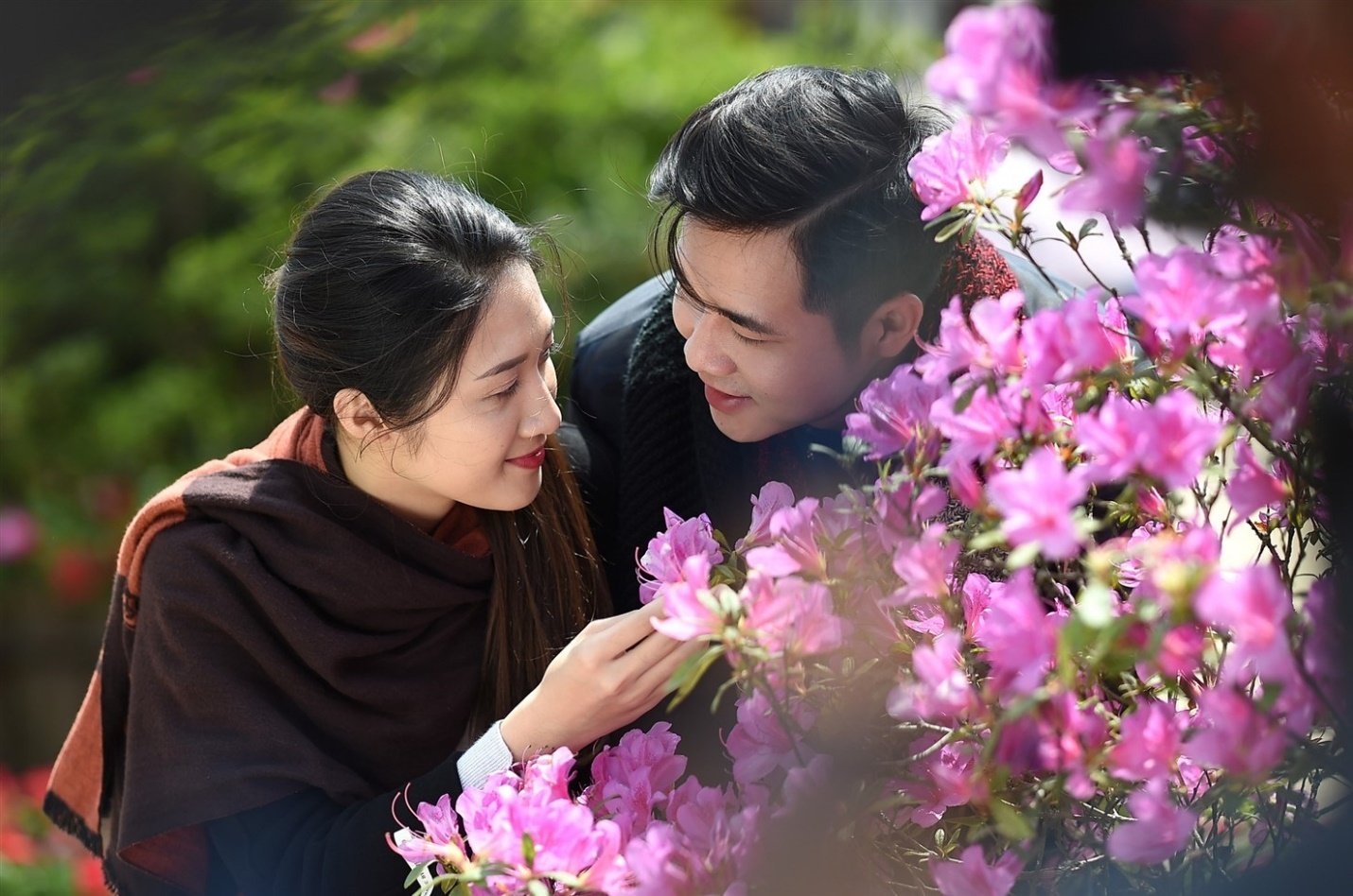 Sun World Fansipan Legend anh 11