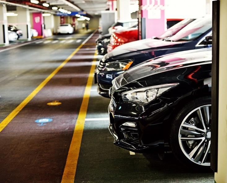 Novaland ảnh 1 Novaland anh 1