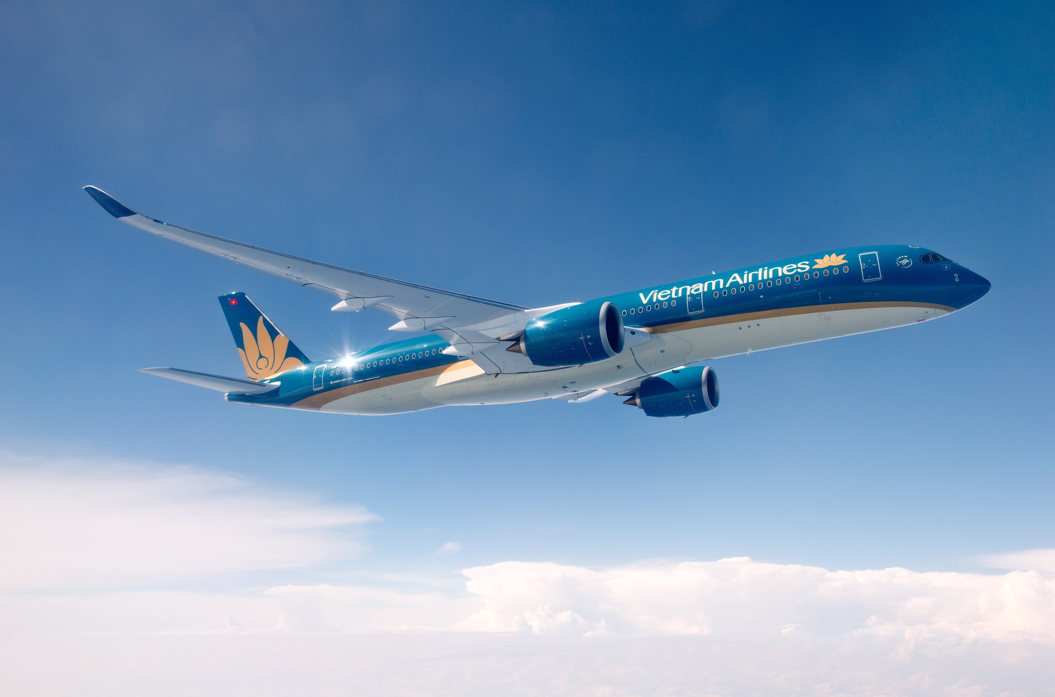 Vietnam Airlines tang gan 600 chuyen bay phuc vu Tet Nguyen dan hinh anh