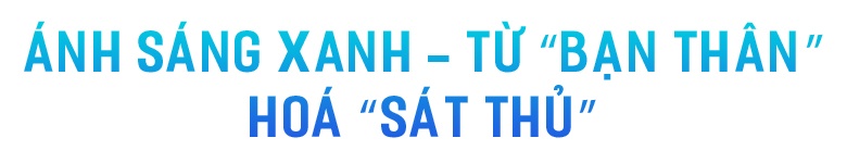 Brand’s Veta Berry ảnh 8 Brand’s Veta Berry anh 8