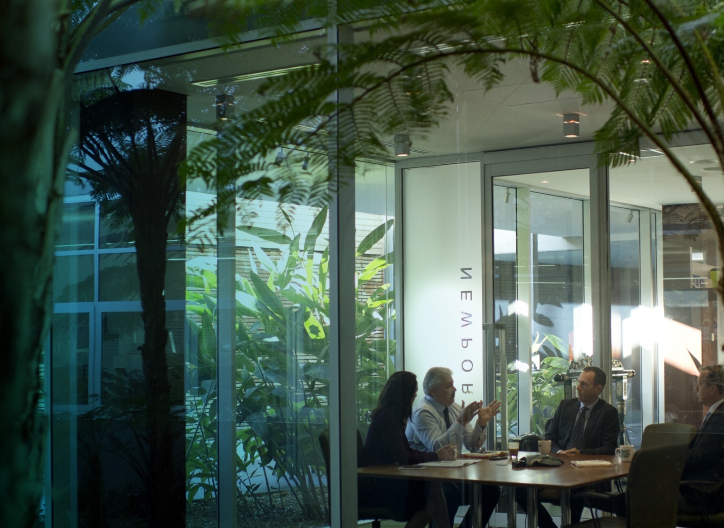 Blackmores ảnh 3 Blackmores anh 3