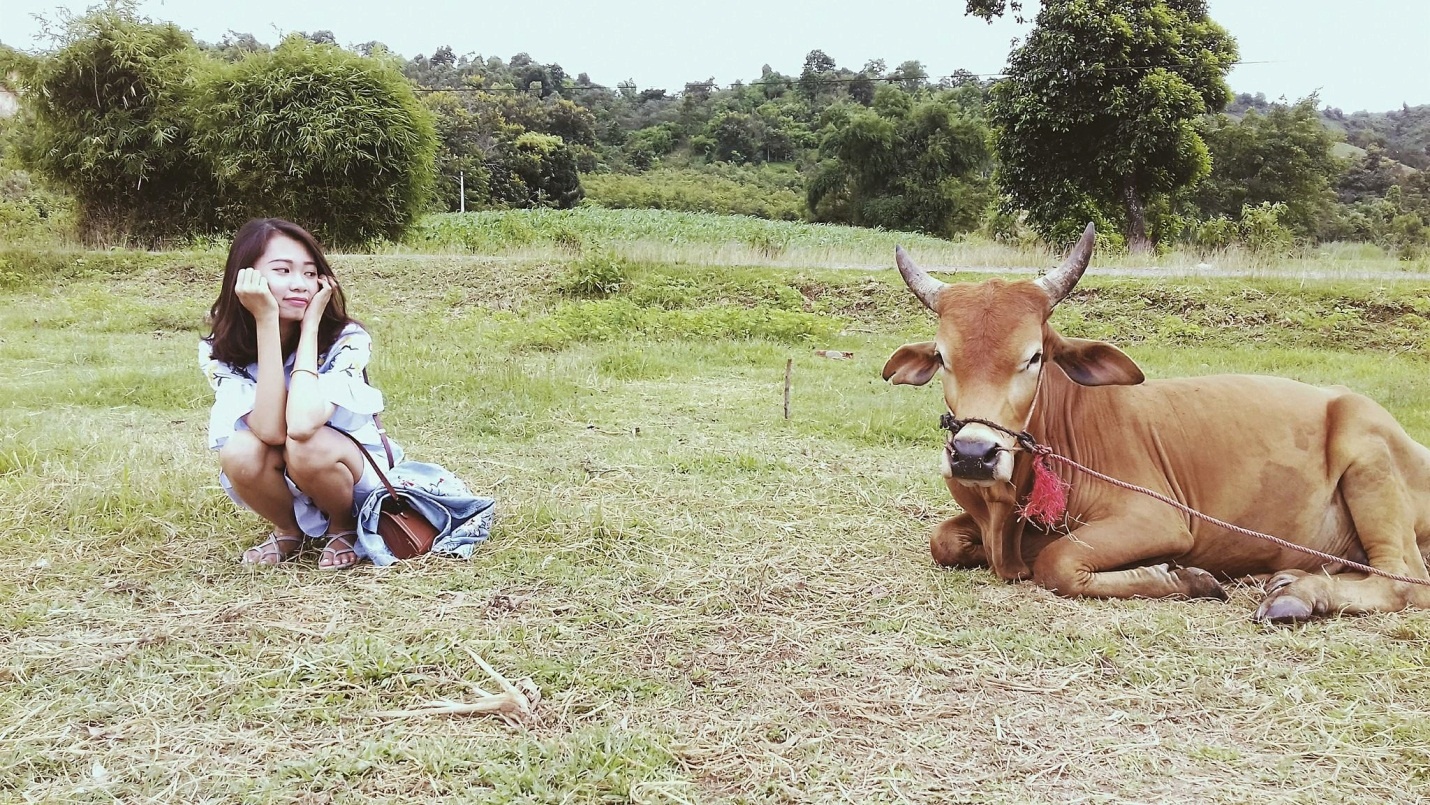 Viettel ảnh 3 Viettel anh 3