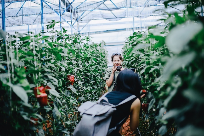 Da Lat Trong Toi anh 3