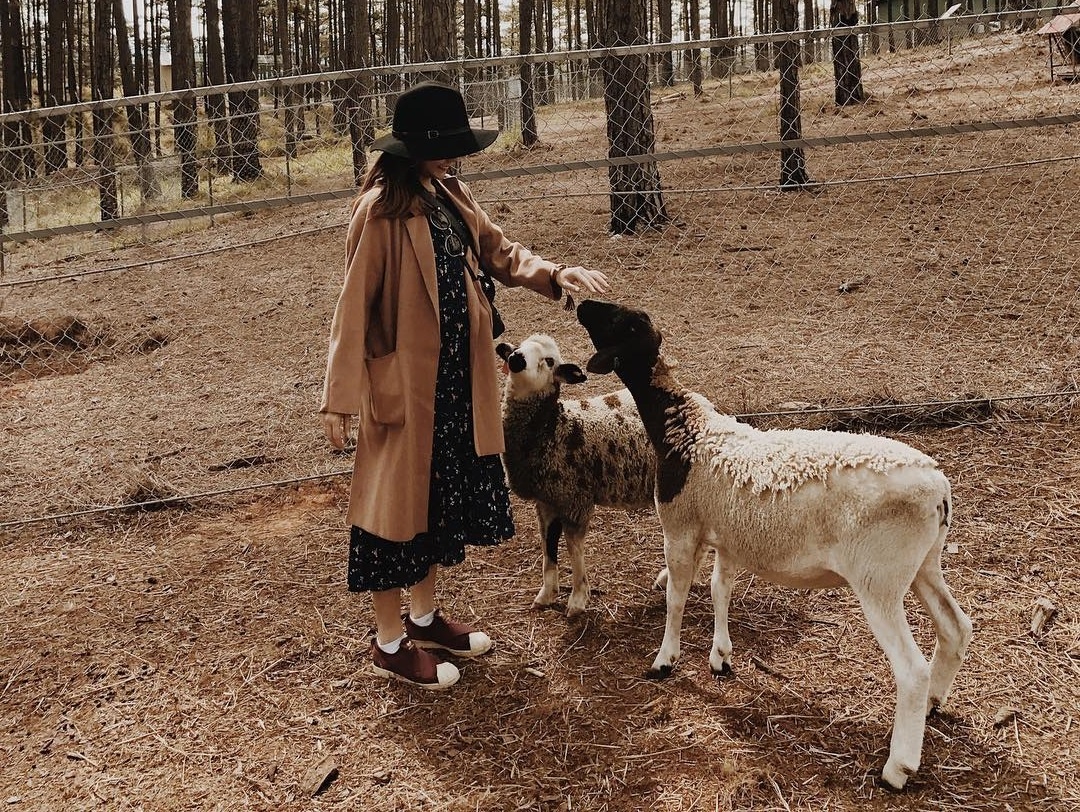 Da Lat Trong Toi anh 9