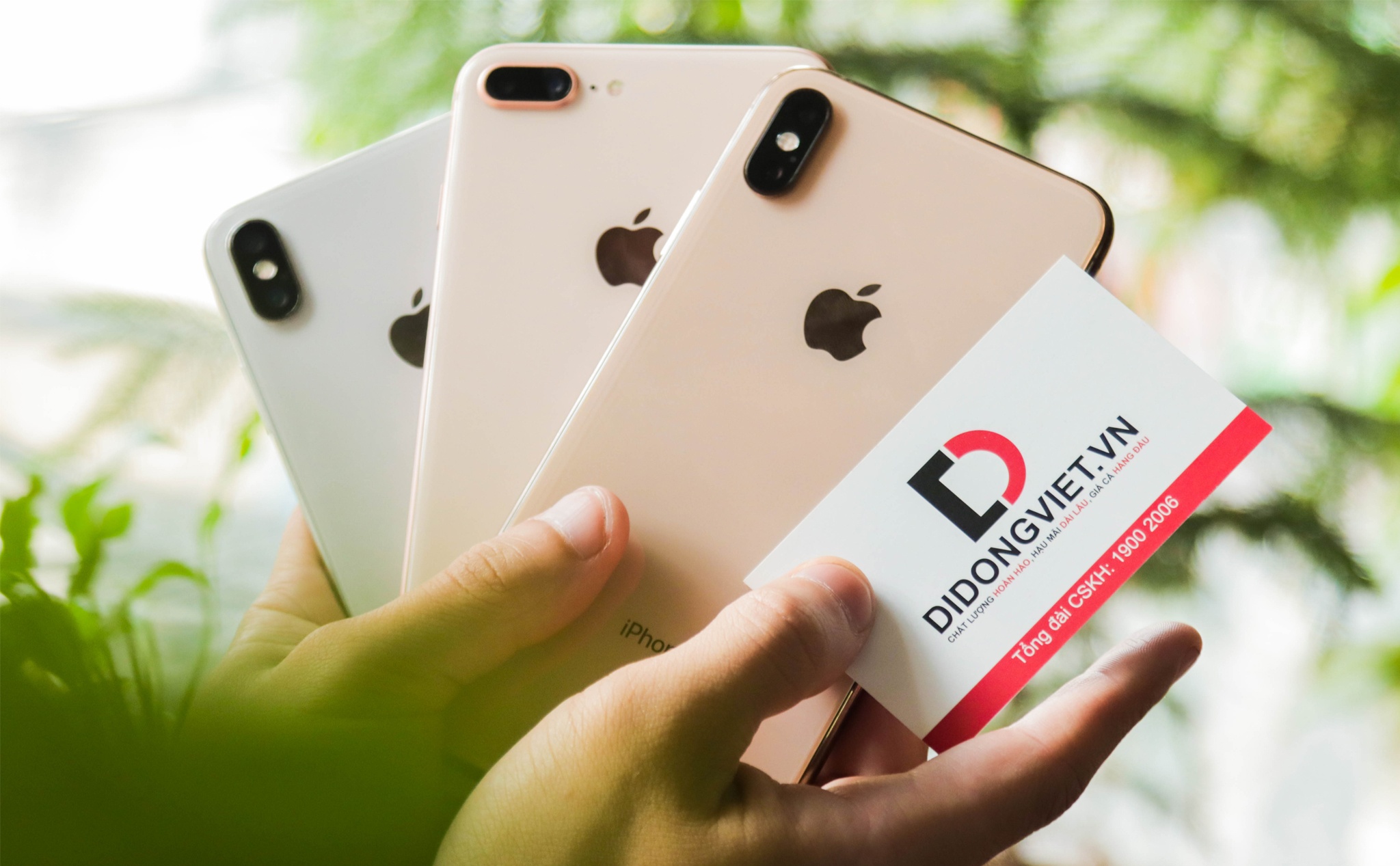 Nen chon iPhone 8 Plus, X hay XS Max lam qua 20/10? hinh anh