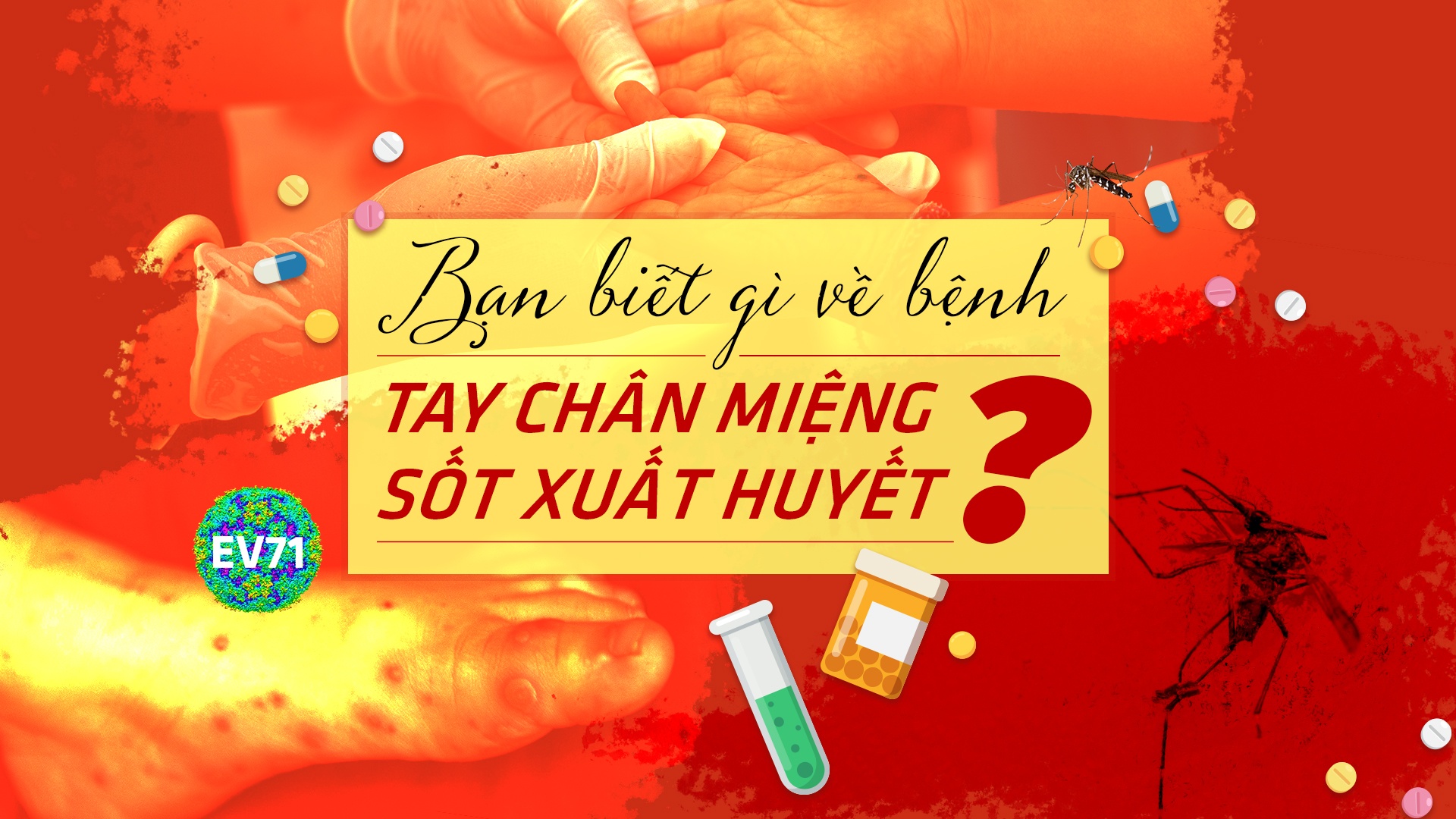 Hapacol,  sot xuat huyet,  tay chan mieng anh 2