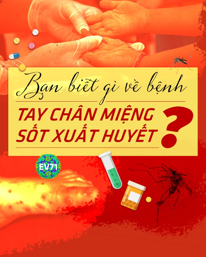 Hapacol,  sot xuat huyet,  tay chan mieng anh 1