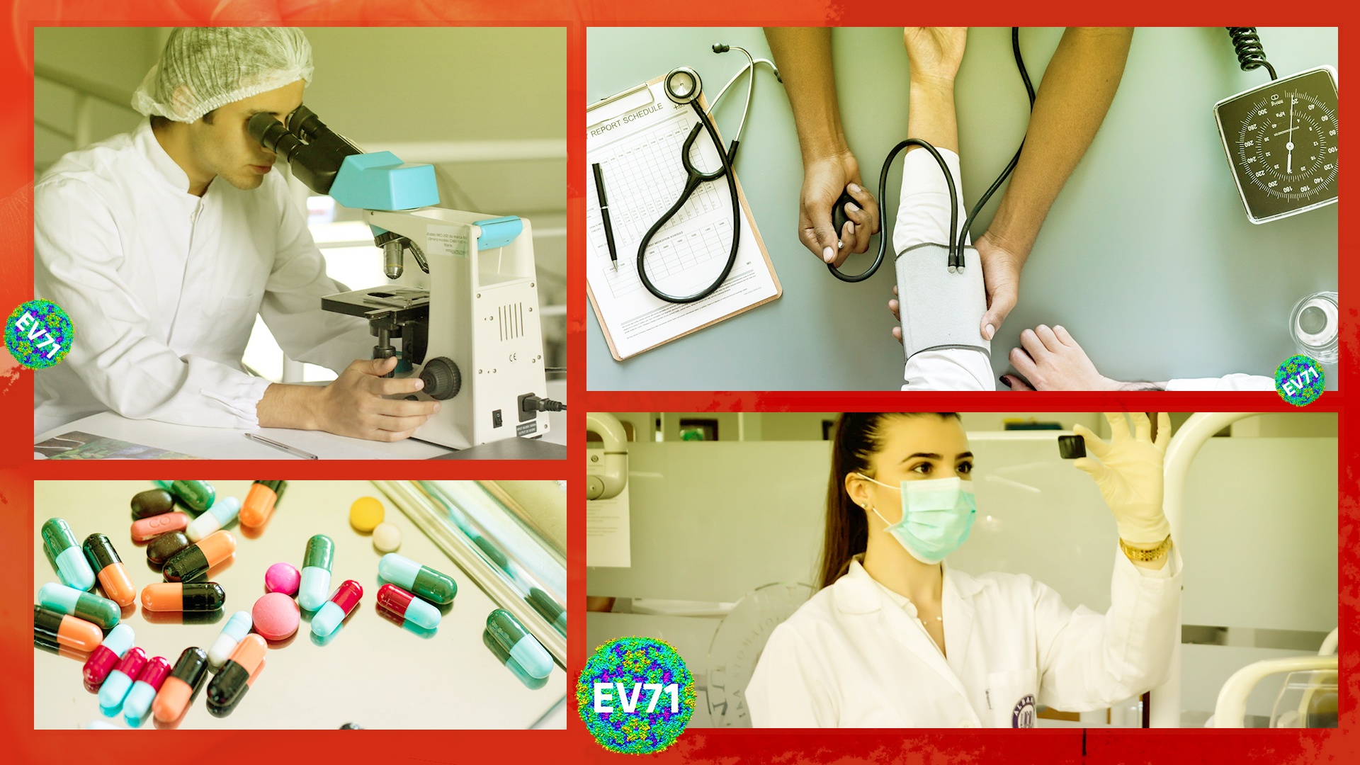 Hapacol,  sot xuat huyet,  tay chan mieng anh 11