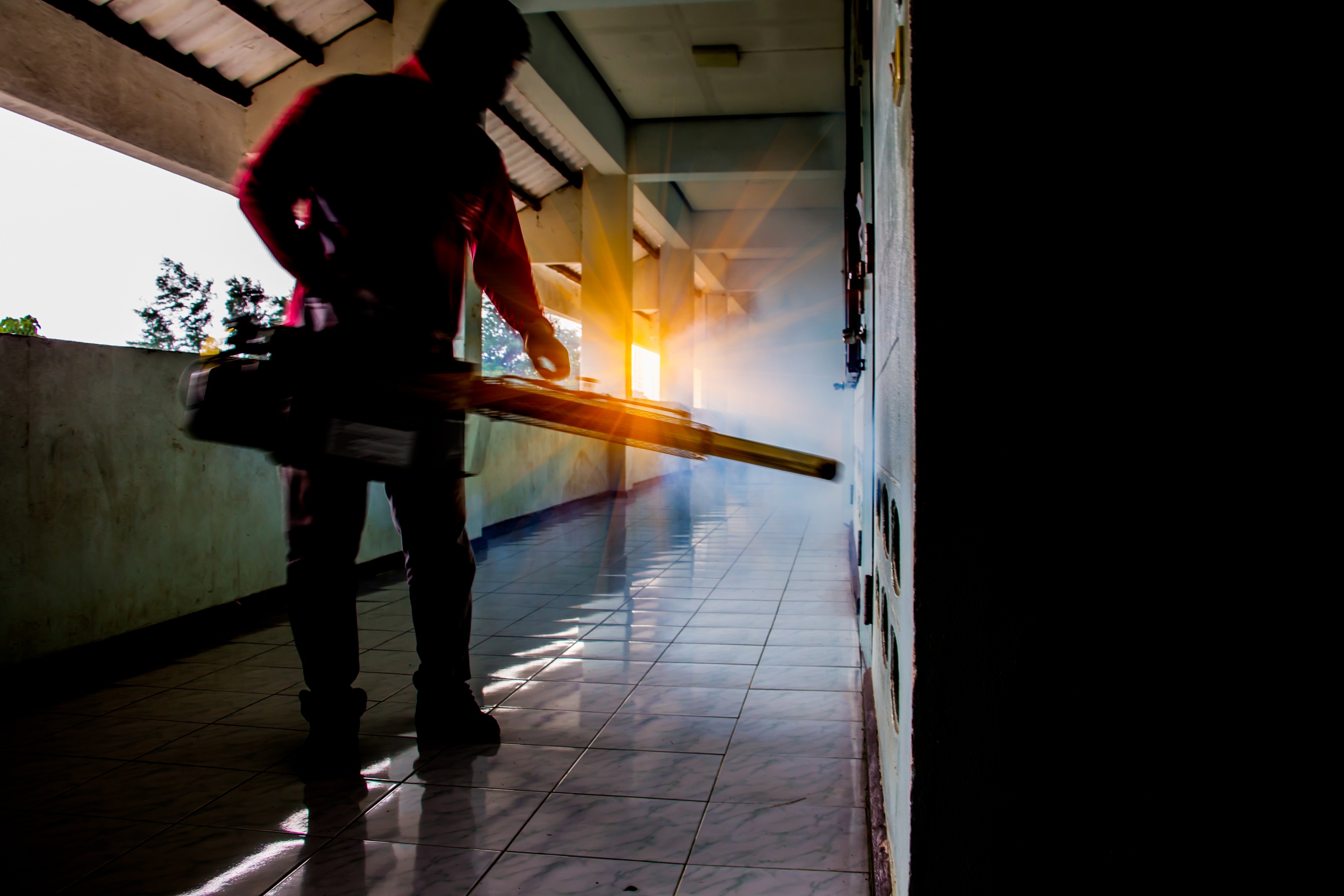 Ban biet gi ve benh tay chan mieng, sot xuat huyet? hinh anh