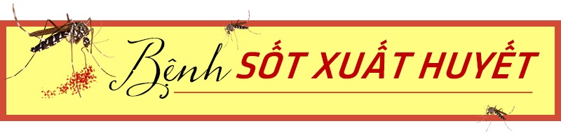 Hapacol,  sot xuat huyet,  tay chan mieng anh 8