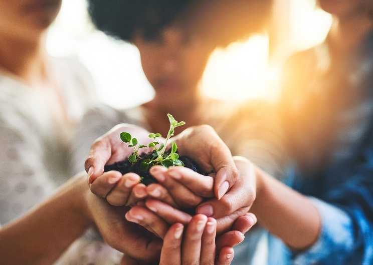 Hon 600 sinh vien tham gia cuoc thi sang tao y tuong vi cong dong hinh anh